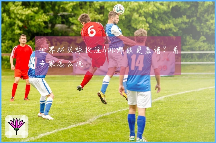 世界杯买球投注App哪款更靠谱？看专家怎么说