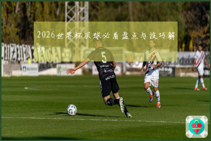 2026世界杯买球必看盘点与技巧解析