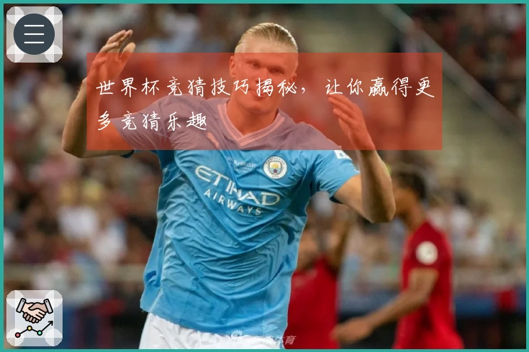 世界杯竞猜技巧揭秘，让你赢得更多竞猜乐趣