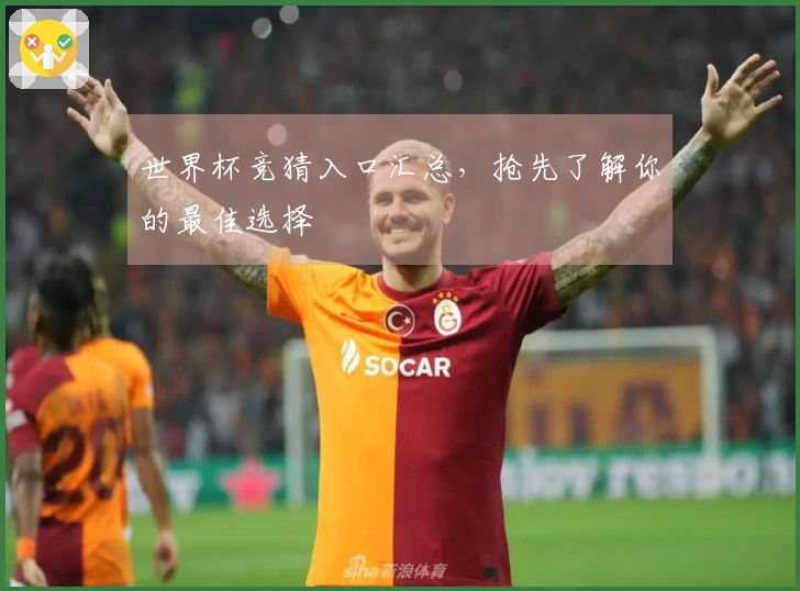 世界杯竞猜入口汇总，抢先了解你的最佳选择