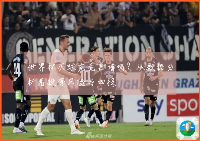 世界杯买球究竟靠谱吗？从数据分析看投资风险与回报
