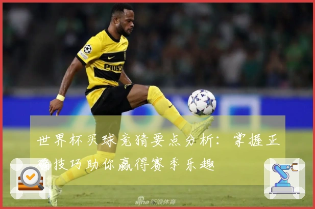 世界杯买球竞猜要点分析：掌握正确技巧助你赢得赛季乐趣