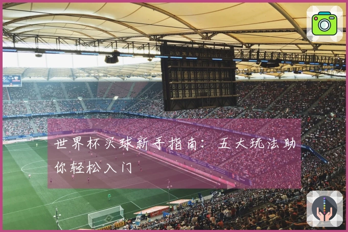 世界杯买球新手指南：五大玩法助你轻松入门