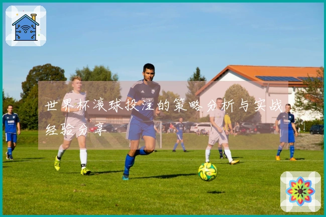 世界杯滚球投注的策略分析与实战经验分享