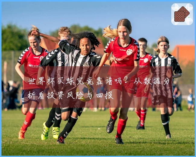 世界杯买球究竟靠谱吗？从数据分析看投资风险与回报